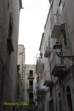 IMG_10.jpg