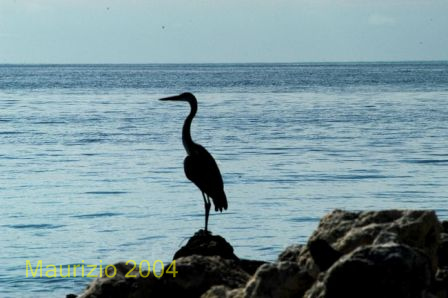 IMG_4.jpg