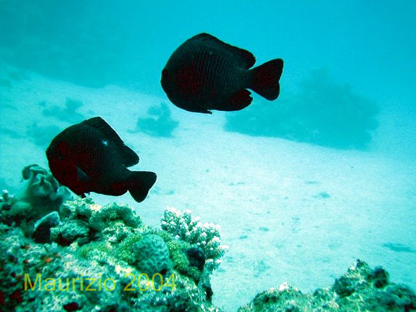 IMG_5.jpg