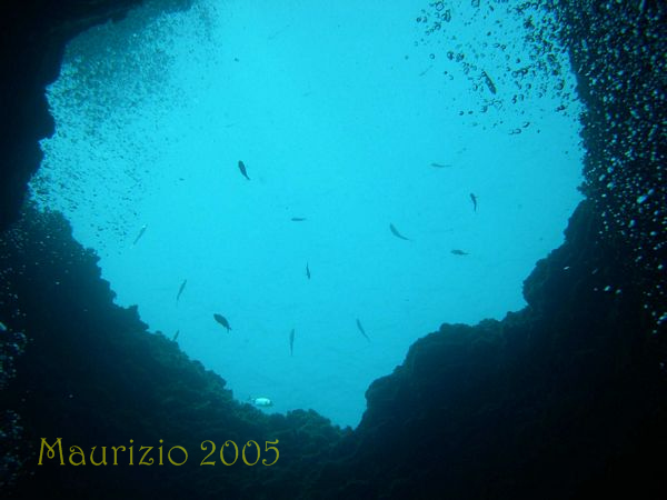 marina_camerota0015.jpg