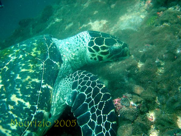dscn0088.jpg