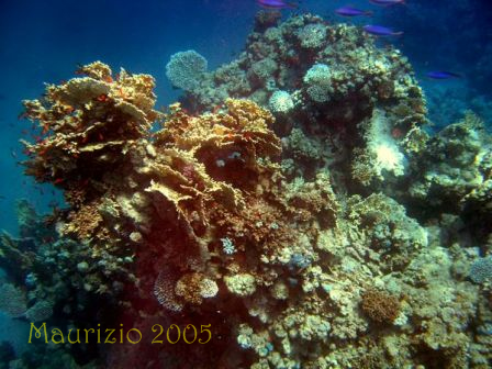 dscn0226.jpg