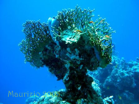 dscn0228.jpg