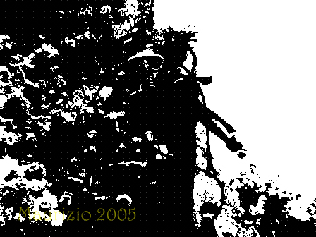 dscn0231ls.gif.jpg