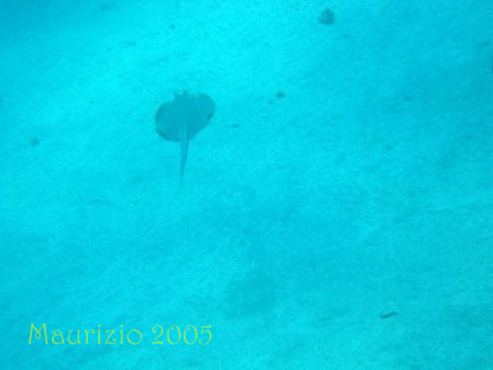 dscn0245.jpg