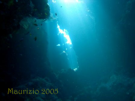dscn0254.jpg