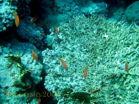 dscn0258.jpg