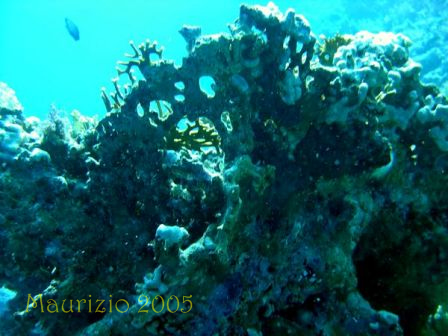 dscn0260.jpg