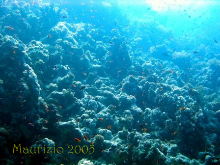 dscn0267.jpg