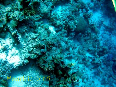 dscn0268.jpg