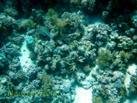 dscn0270.jpg