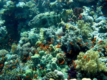 dscn0272.jpg
