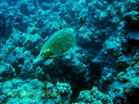 dscn0289.jpg