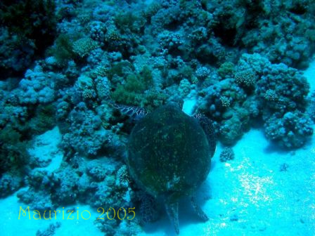 dscn0295.jpg