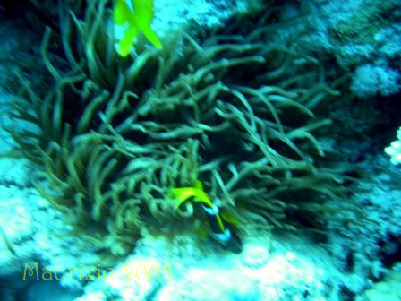 dscn0297.jpg