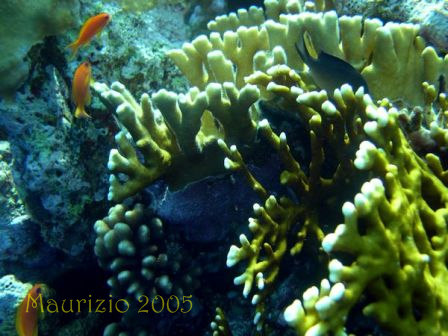dscn0301.jpg