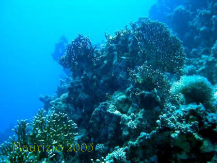 dscn0318.jpg