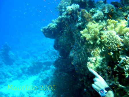 dscn0327.jpg