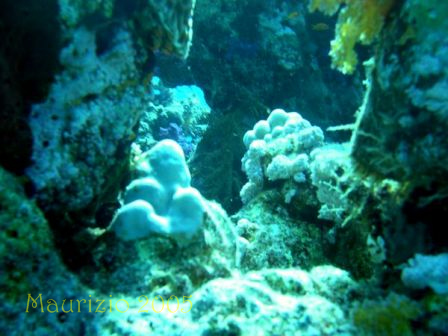 dscn0329.jpg