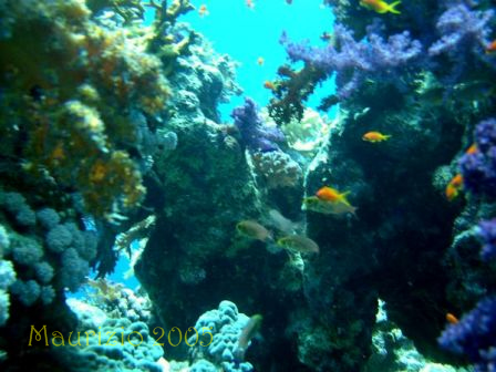 dscn0330.jpg