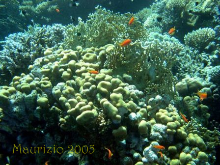 dscn0341.jpg