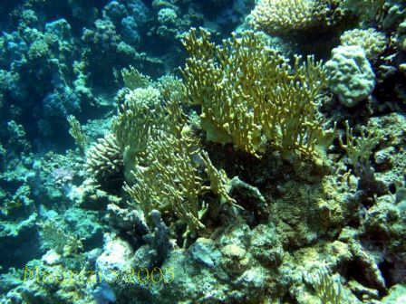 dscn0342.jpg