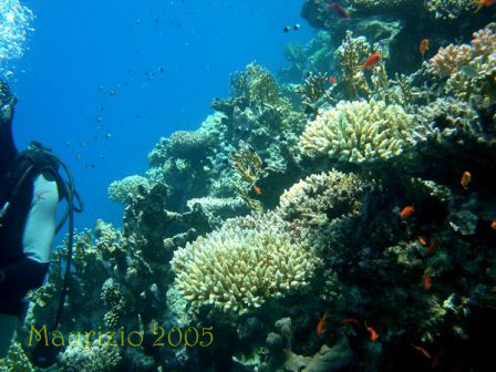 dscn0343.jpg