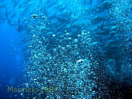 dscn0469.jpg