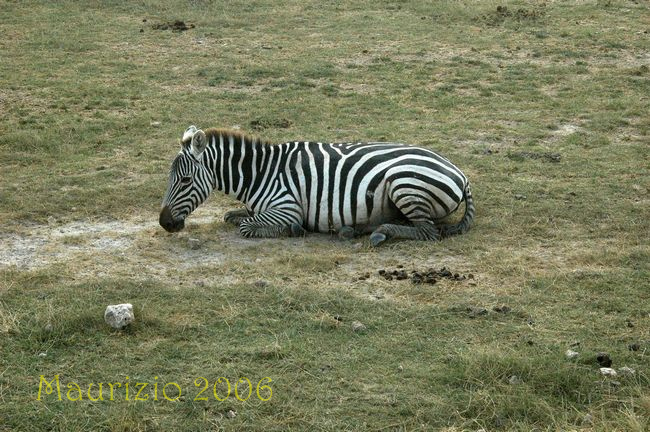 dsc_0837.jpg