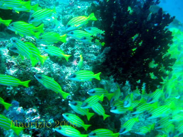 dscn0026.jpg
