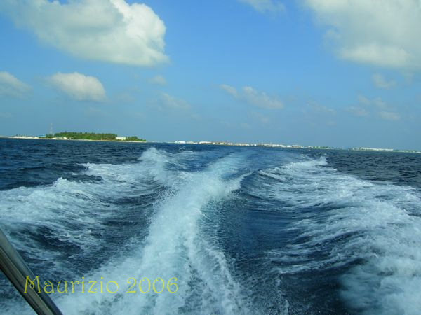 dscn0051.jpg