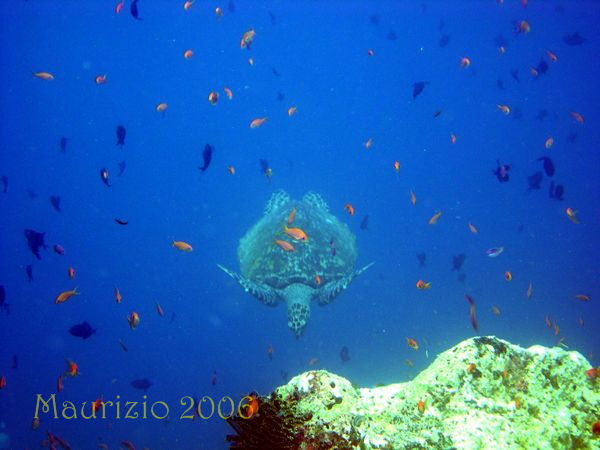 dscn0105.jpg