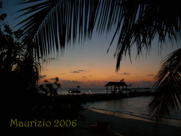 dscn0106a.jpg