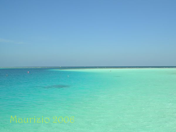 dscn0131.jpg
