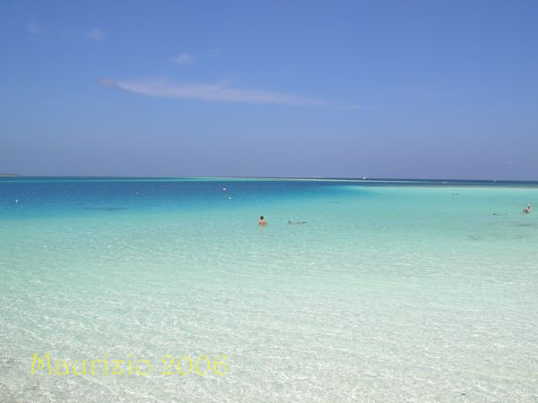 dscn0134.jpg