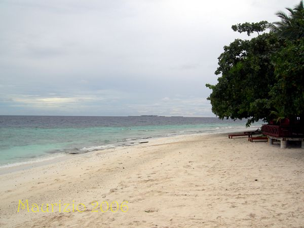 2006_maldive_2_061.jpg