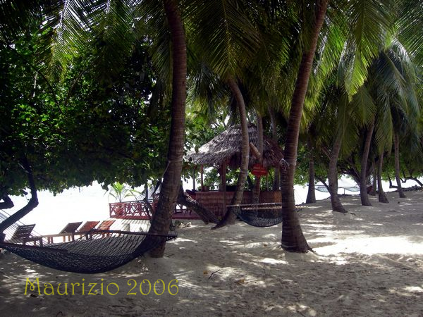 2006_maldive_2_133.jpg