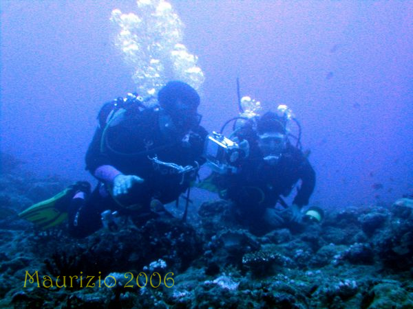 2006_maldive_2_175.jpg