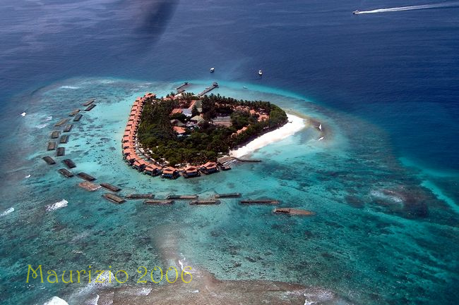2006_maldive_2_213.jpg