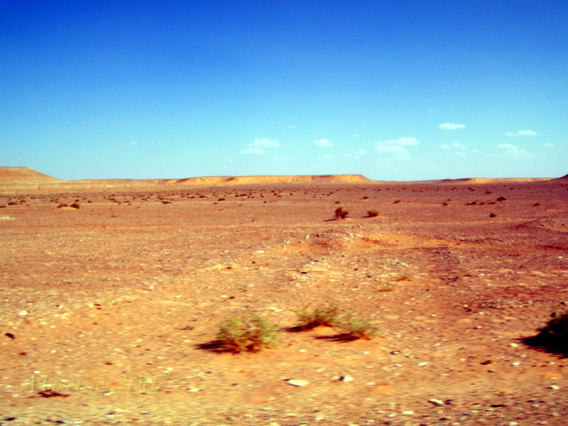 2007_Libia_0036.JPG