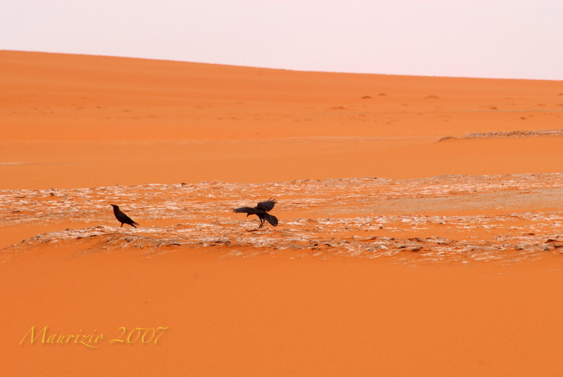 2007_Libia_0264.JPG