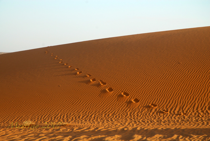 2007_Libia_0302.JPG