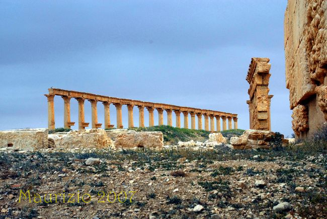 2007_siria_0290.jpg