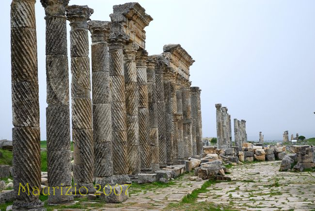 2007_siria_0982.jpg