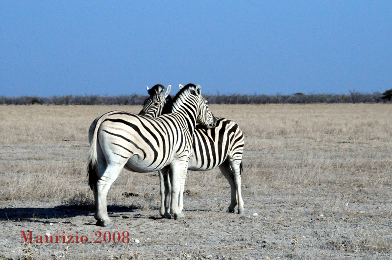 2008_Namibia_0072.JPG