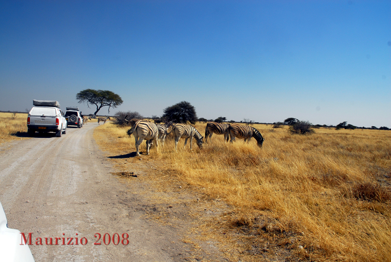 2008_Namibia_0262.JPG