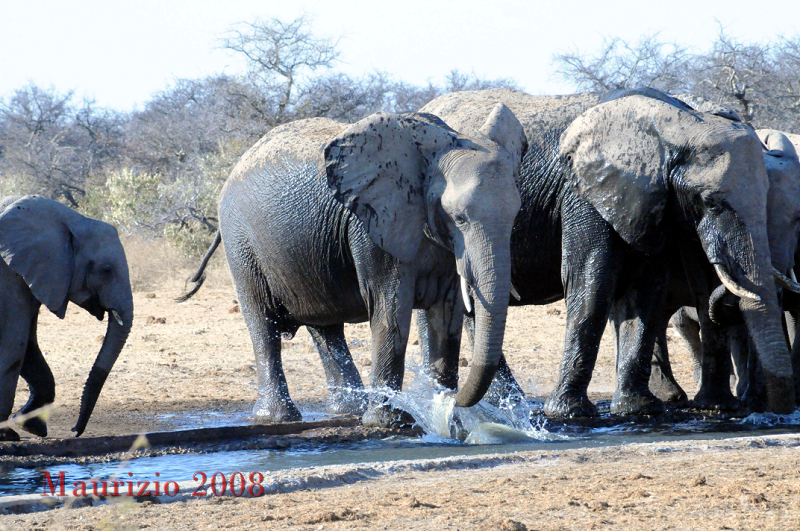 2008_Namibia_0366.JPG