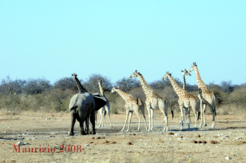 2008_Namibia_0374.JPG