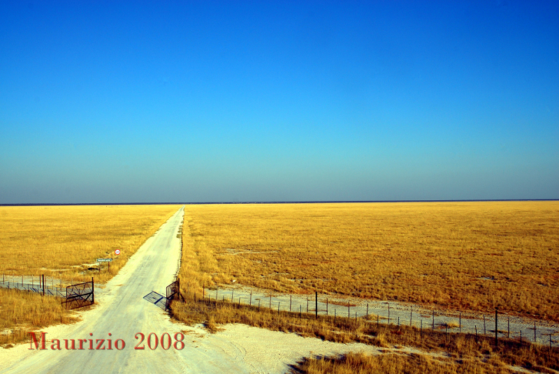 2008_Namibia_0399.JPG