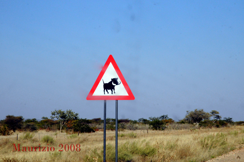 2008_Namibia_0814.JPG